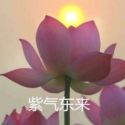 英雄垒复仇内购破解版下载
